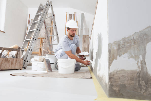 Best Custom Drywall Designs  in Prescott, WI