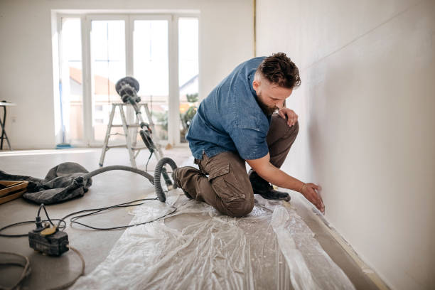 Best Water-Damaged Drywall Repair  in Prescott, WI